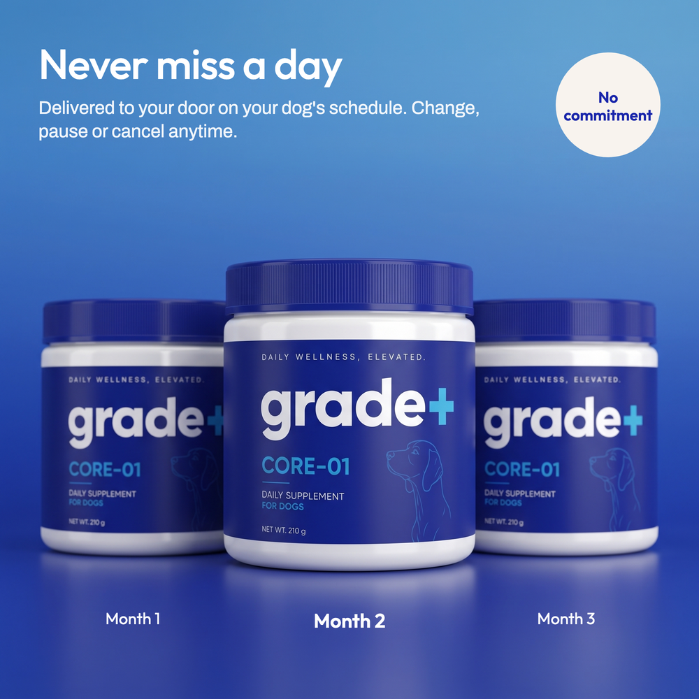 Core01 - Daily Canine Wellness Powder