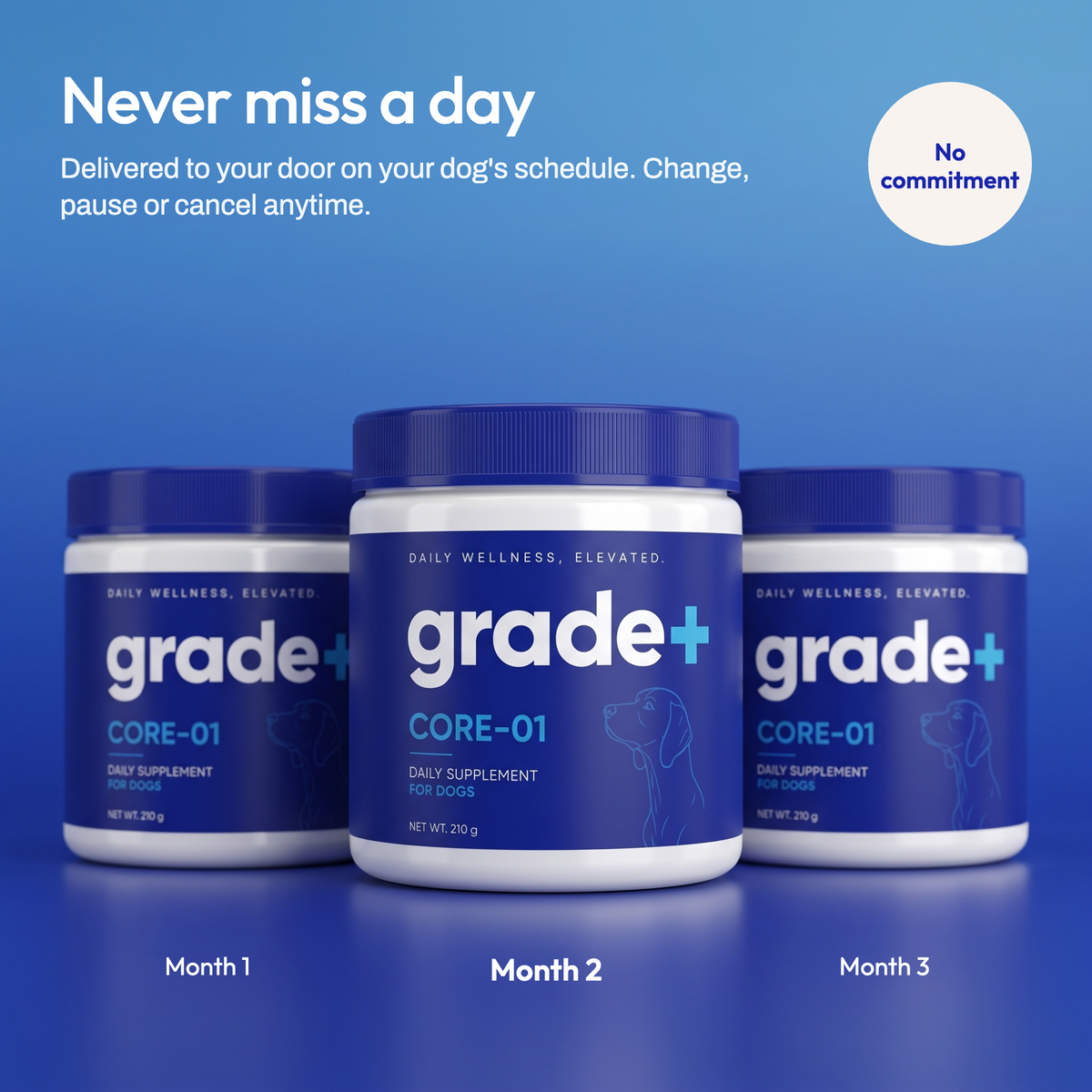 Core01 - Daily Canine Wellness Powder